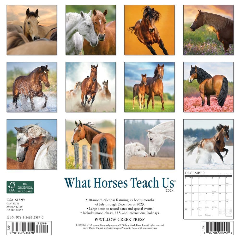 What Horses Teach Us 2024 Wall Calendar Back of Calendar width=&quot;1000&quot; height=&quot;1000&quot;