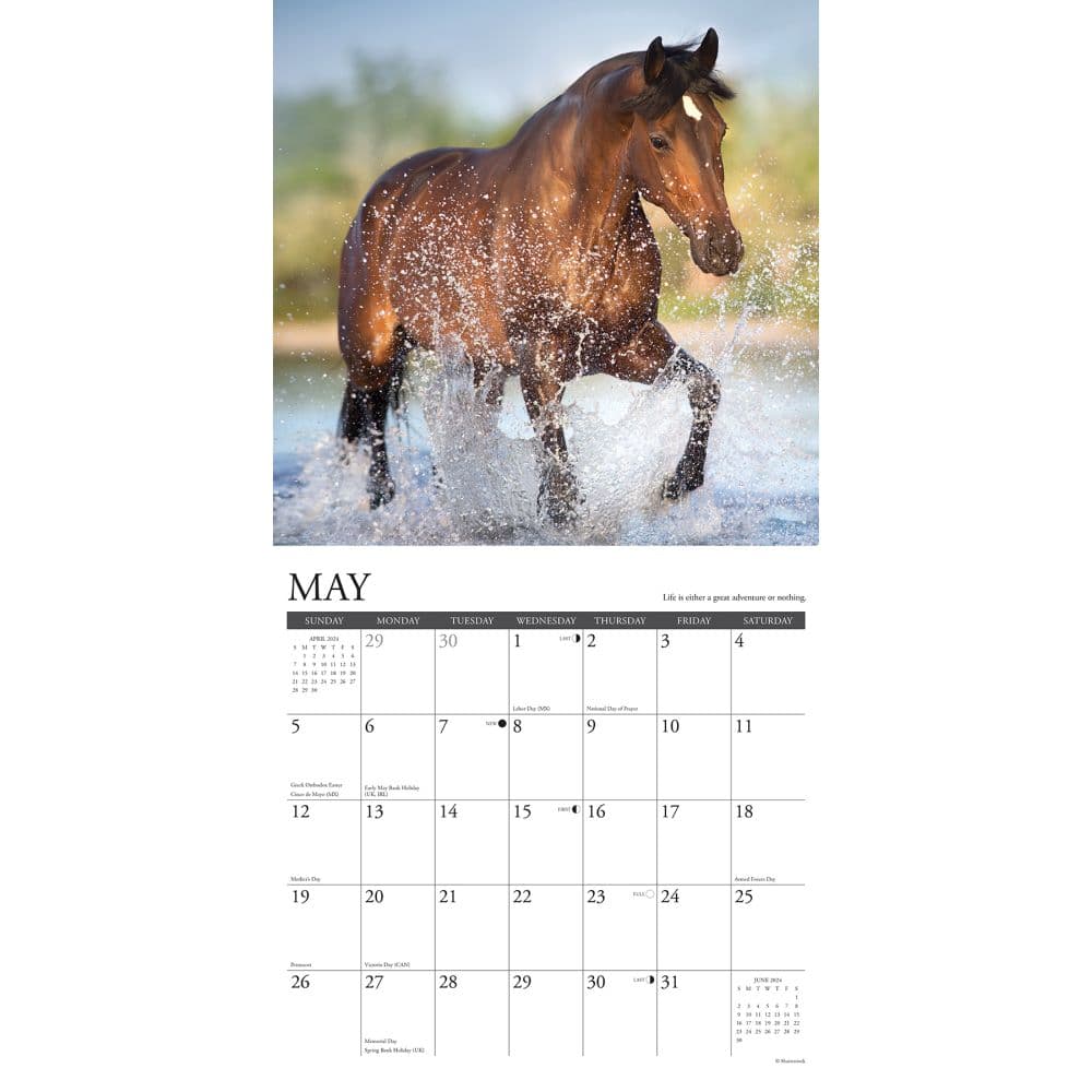 What Horses Teach Us 2024 Wall Calendar Interior Image width=&quot;1000&quot; height=&quot;1000&quot;