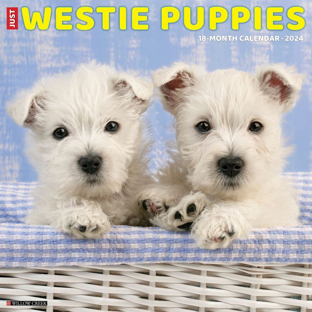 Westie Puppies Just 2024 Wall Calendar Main Image width=&quot;1000&quot; height=&quot;1000&quot;