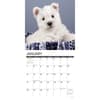image Westie Puppies Just 2024 Wall Calendar Interior Image width=&quot;1000&quot; height=&quot;1000&quot;