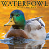 image Waterfowl 2024 Wall Calendar Main Image width=&quot;1000&quot; height=&quot;1000&quot;