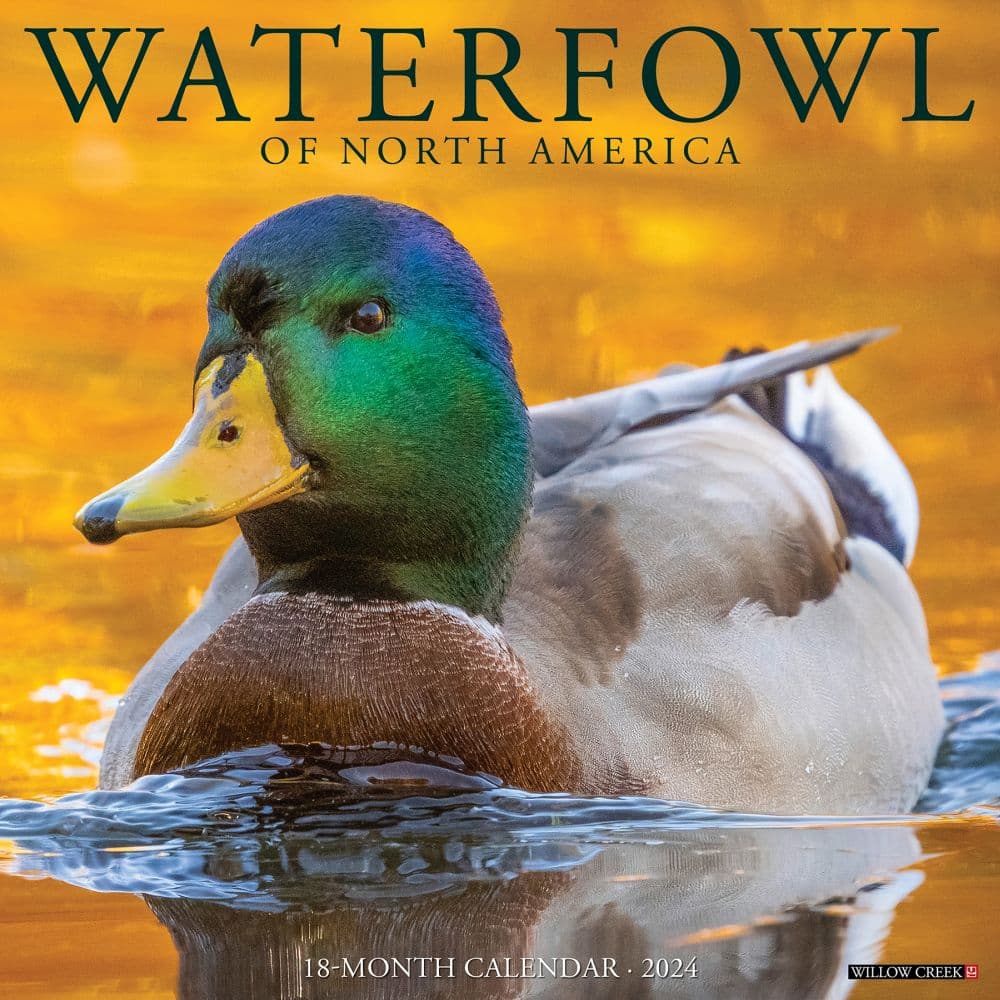 Waterfowl 2024 Wall Calendar Main Image width=&quot;1000&quot; height=&quot;1000&quot;