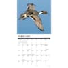 image Waterfowl 2024 Wall Calendar Interior Image width=&quot;1000&quot; height=&quot;1000&quot;