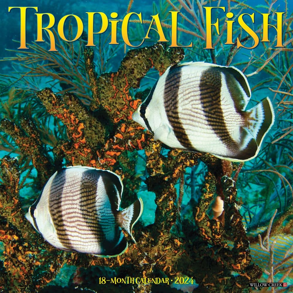 Tropical Fish 2024 Wall Calendar Main Image width=&quot;1000&quot; height=&quot;1000&quot;