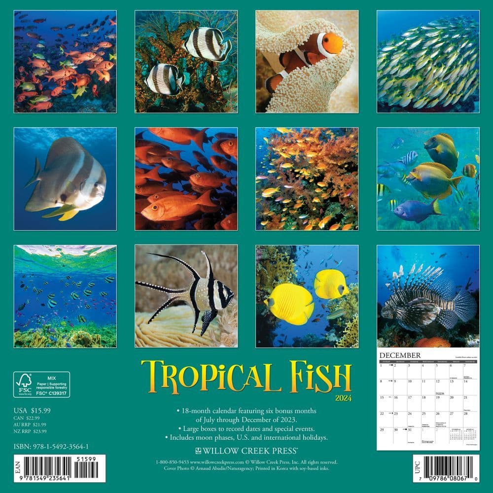 Tropical Fish 2024 Wall Calendar Back of Calendar width=&quot;1000&quot; height=&quot;1000&quot;