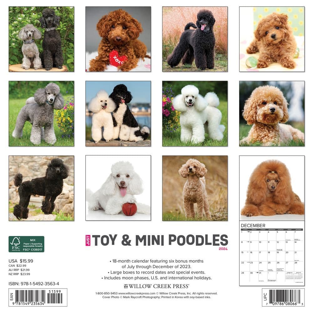 Toy and Miniature Poodles 2024 Wall Calendar Back of Calendar width=&quot;1000&quot; height=&quot;1000&quot;