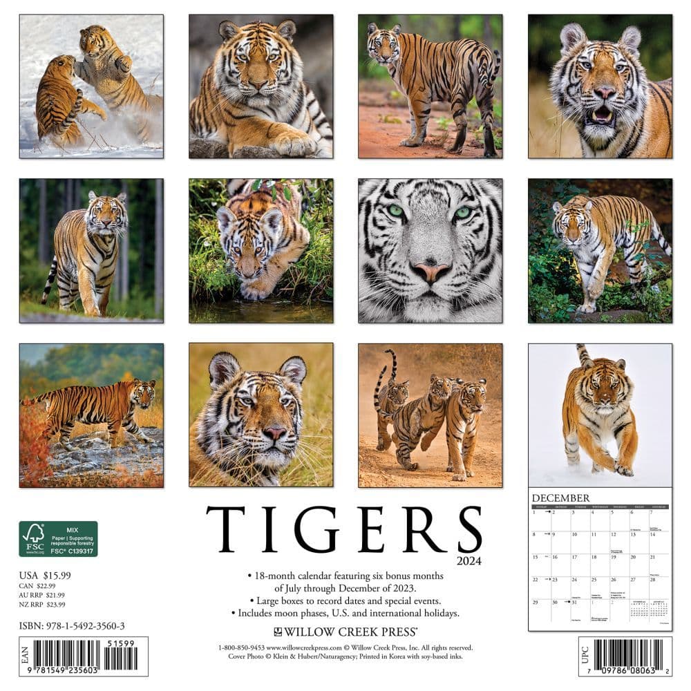Tigers 2024 Wall Calendar Back of Calendar width=&quot;1000&quot; height=&quot;1000&quot;
