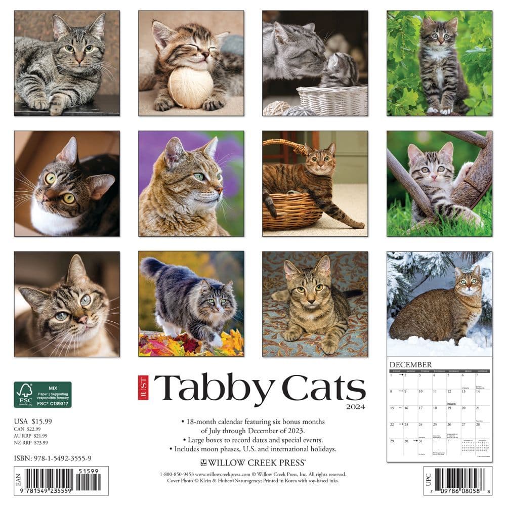 Just Tabby Cats 2024 Wall Calendar - Calendars.com