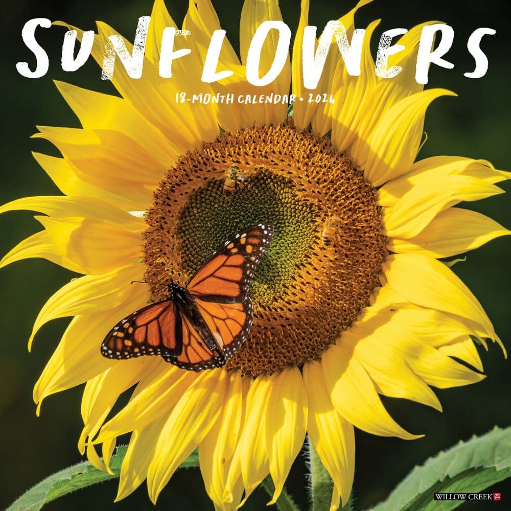 Sunflowers 2024 Wall Calendar Calendars Com   202400004009 