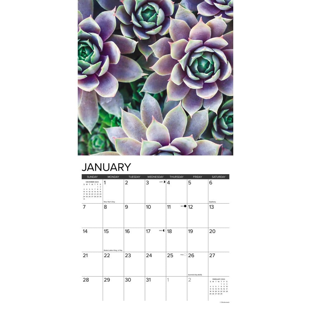 Succulents 2024 Wall Calendar Interior Image width=&quot;1000&quot; height=&quot;1000&quot;