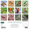 image Songbirds 2024 Wall Calendar Back of Calendar width=&quot;1000&quot; height=&quot;1000&quot;