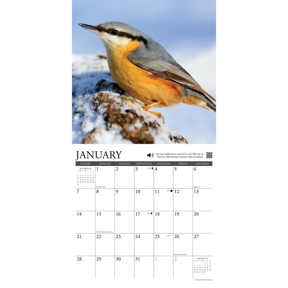 Songbirds 2024 Wall Calendar Interior Image width=&quot;1000&quot; height=&quot;1000&quot;