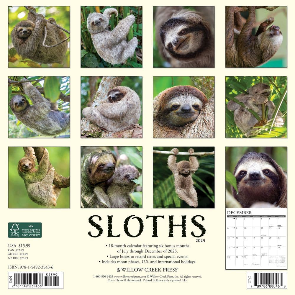 Sloths 2024 Wall Calendar