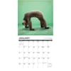 image Sloth Yoga 2024 Wall Calendar Interior Image width=&quot;1000&quot; height=&quot;1000&quot;