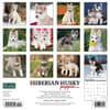 image Just Siberian Husky Puppies 2024 Wall Calendar Back of Calendar width=&quot;1000&quot; height=&quot;1000&quot;