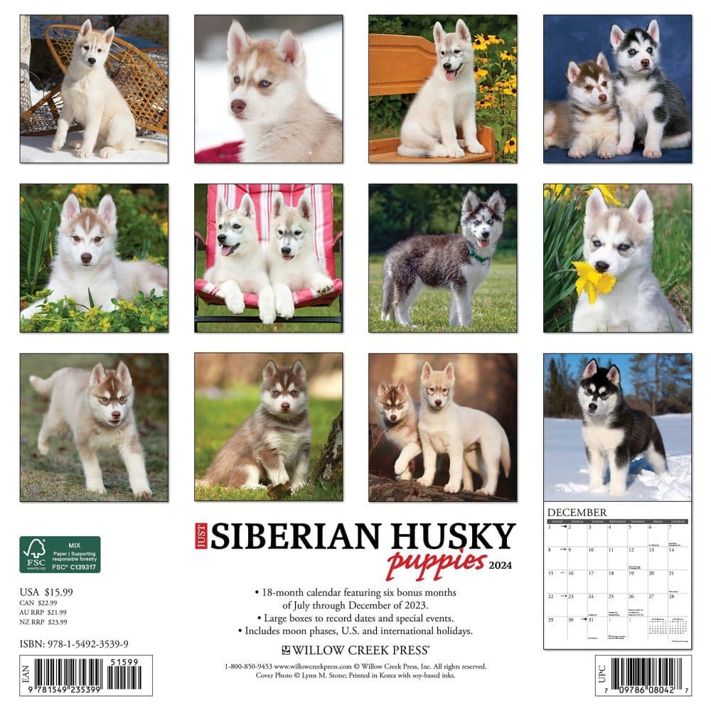 Just Siberian Husky Puppies 2024 Wall Calendar Back of Calendar width=&quot;1000&quot; height=&quot;1000&quot;