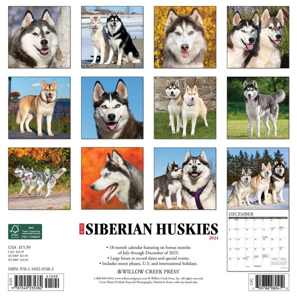 Just Siberian Huskies 2024 Wall Calendar Back of Calendar width=&quot;1000&quot; height=&quot;1000&quot;