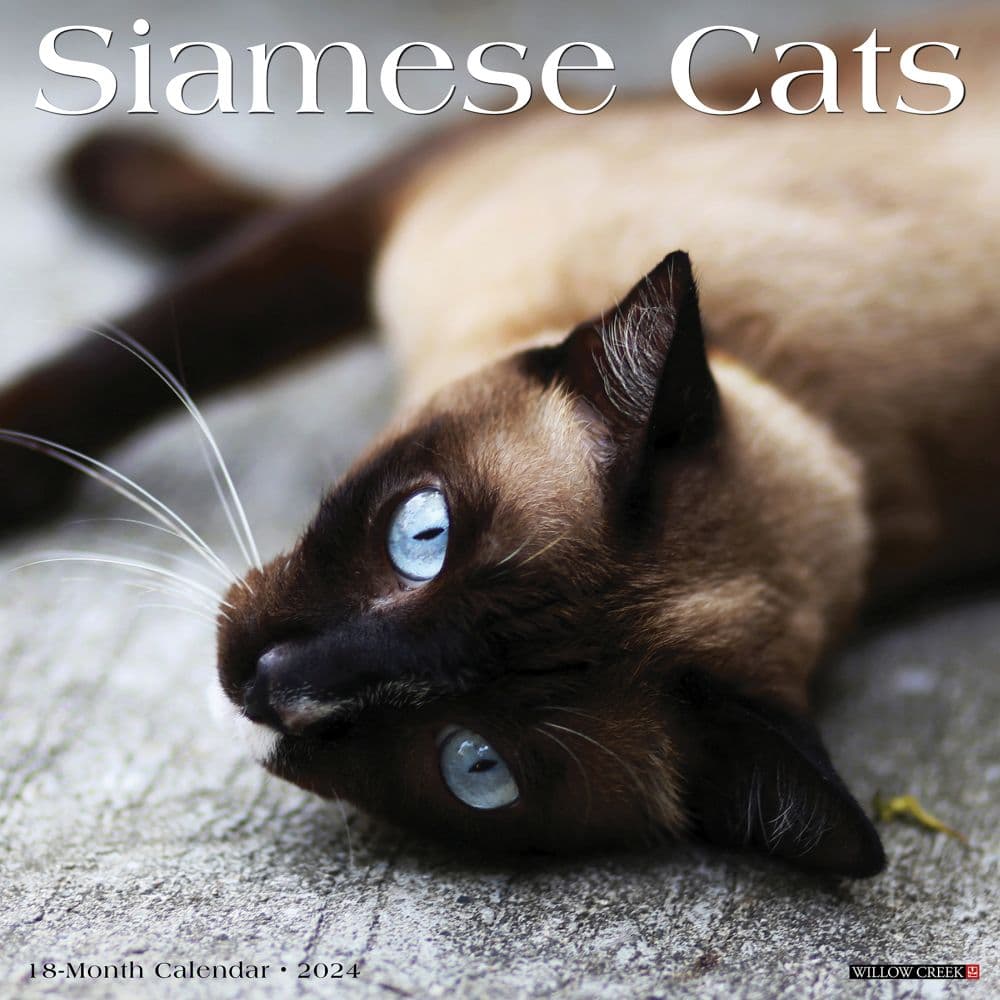 Siamese Cats 2024 Wall Calendar - Calendars.com Siamese Cats 2024 Wall Calendar - Calendars.com