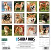 image Shiba Inus 2024 Wall Calendar Back of Calendar width=&quot;1000&quot; height=&quot;1000&quot;