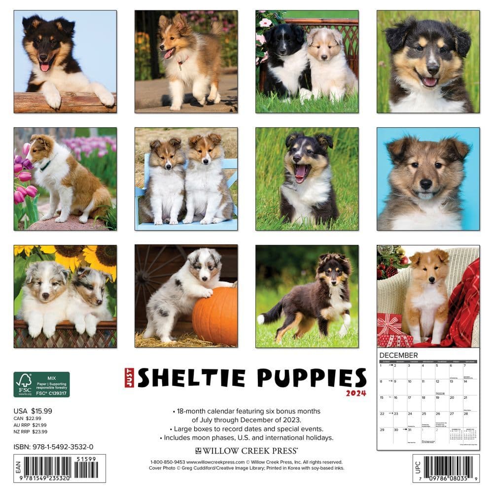 Just Sheltie Puppies 2024 Wall Calendar Back of Calendar width=&quot;1000&quot; height=&quot;1000&quot;