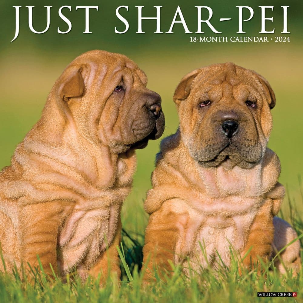 Just SharPeis 2024 Wall Calendar Main Image width=&quot;1000&quot; height=&quot;1000&quot;