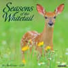 image Deer Whitetail Seasons 2024 Wall Calendar Main Image width=&quot;1000&quot; height=&quot;1000&quot;