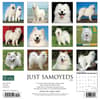 image Just Samoyeds 2024 Wall Calendar Back of Calendar width=&quot;1000&quot; height=&quot;1000&quot;