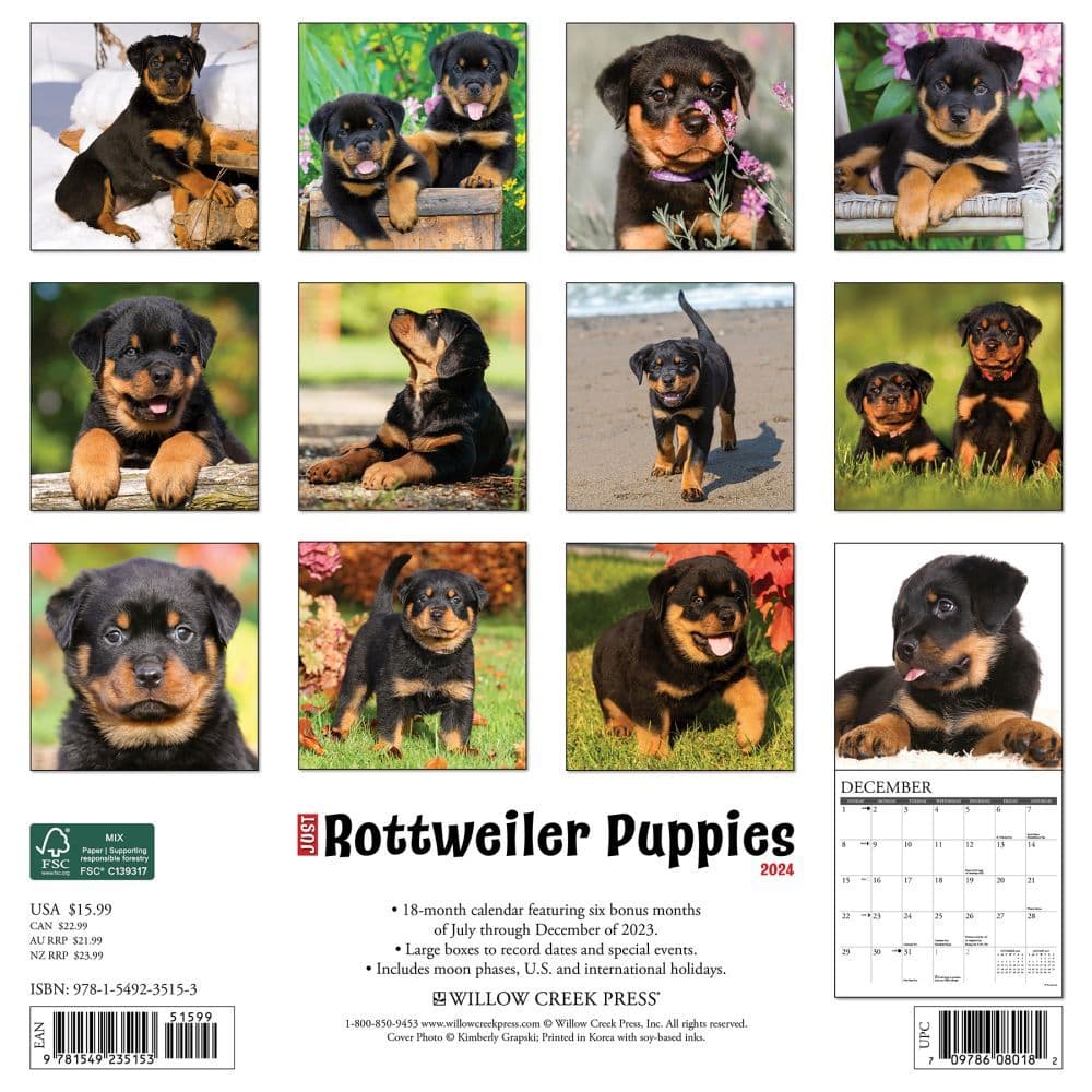 Just Rottweiler Puppies 2024 Wall Calendar Back of Calendar width=&quot;1000&quot; height=&quot;1000&quot;