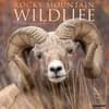 image Rocky Mountain Wildlife 2024 Wall Calendar Main Image width=&quot;1000&quot; height=&quot;1000&quot;