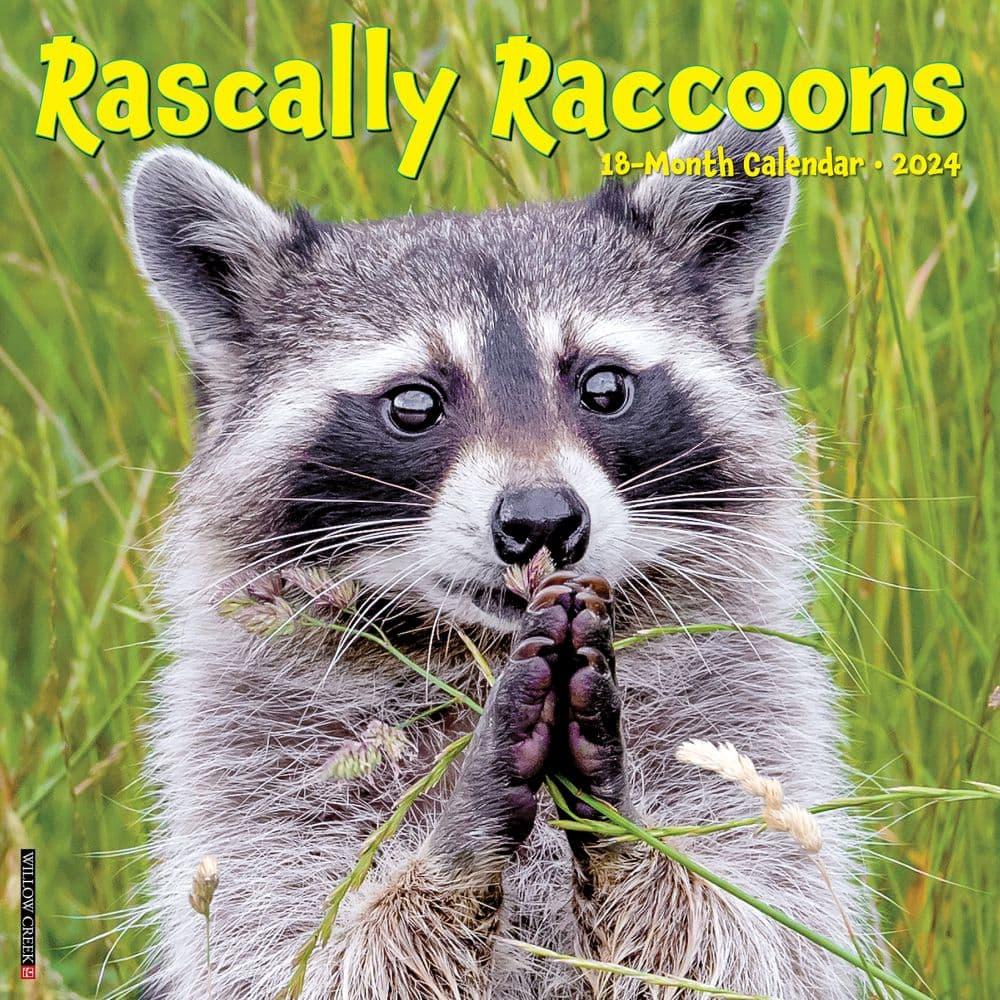Rascally Raccoons 2024 Wall Calendar Main Image width=&quot;1000&quot; height=&quot;1000&quot;