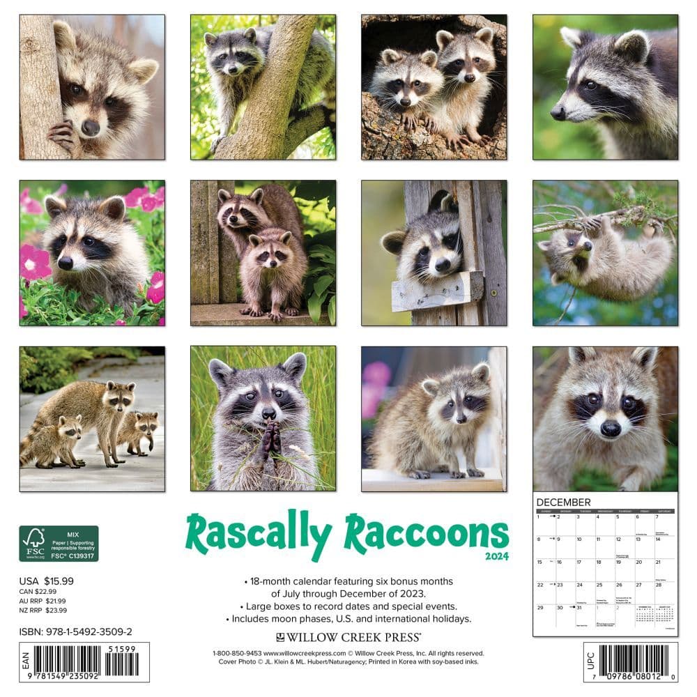 Rascally Raccoons 2024 Wall Calendar Back of Calendar width=&quot;1000&quot; height=&quot;1000&quot;