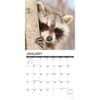 image Rascally Raccoons 2024 Wall Calendar Interior Image width=&quot;1000&quot; height=&quot;1000&quot;