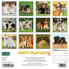 image Puppy Playmates 2024 Wall Calendar Back of Calendar width=&quot;1000&quot; height=&quot;1000&quot;