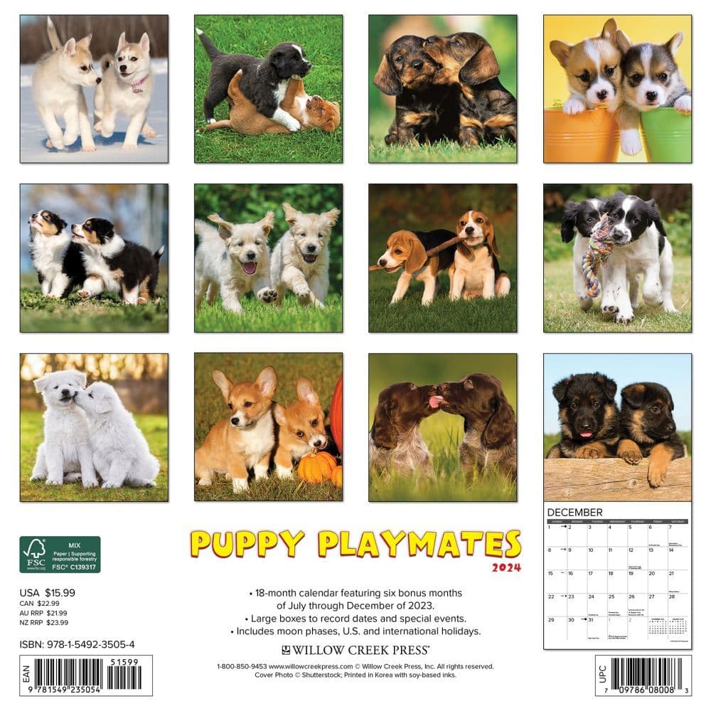 Puppy Playmates 2024 Wall Calendar Back of Calendar width=&quot;1000&quot; height=&quot;1000&quot;