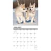 image Puppy Playmates 2024 Wall Calendar Interior Image width=&quot;1000&quot; height=&quot;1000&quot;