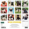 image Just Pug Puppies 2024 Wall Calendar Back of Calendar width=&quot;1000&quot; height=&quot;1000&quot;