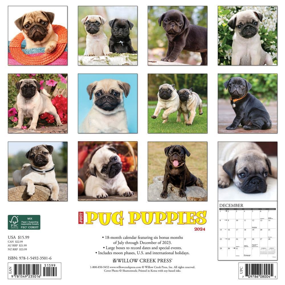 Just Pug Puppies 2024 Wall Calendar Back of Calendar width=&quot;1000&quot; height=&quot;1000&quot;