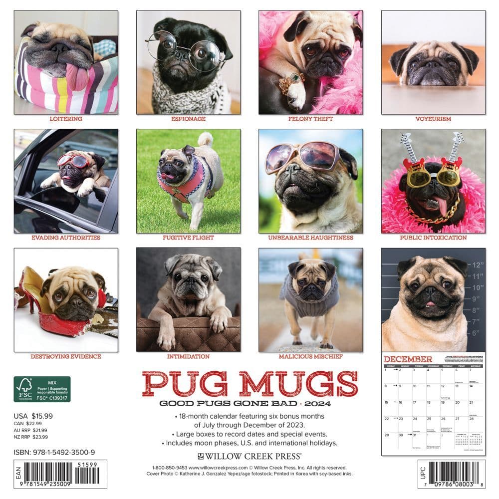 Pug Mugs 2024 Wall Calendar