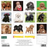 image Just Poodle Puppies 2024 Wall Calendar Back of Calendar width=&quot;1000&quot; height=&quot;1000&quot;