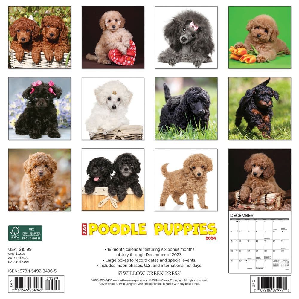 Just Poodle Puppies 2024 Wall Calendar Back of Calendar width=&quot;1000&quot; height=&quot;1000&quot;