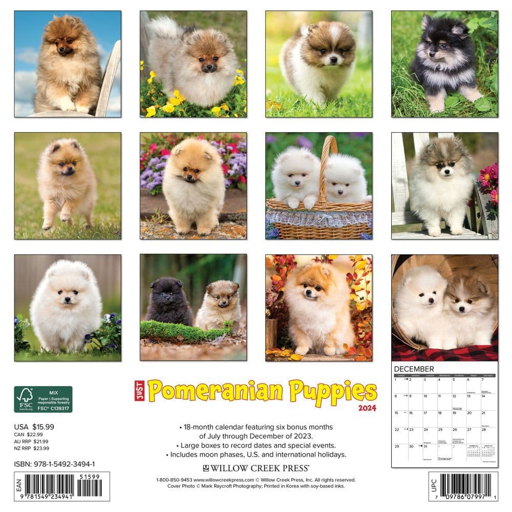 Just Pomeranian Puppies 2024 Wall Calendar Back of Calendar width=&quot;1000&quot; height=&quot;1000&quot;