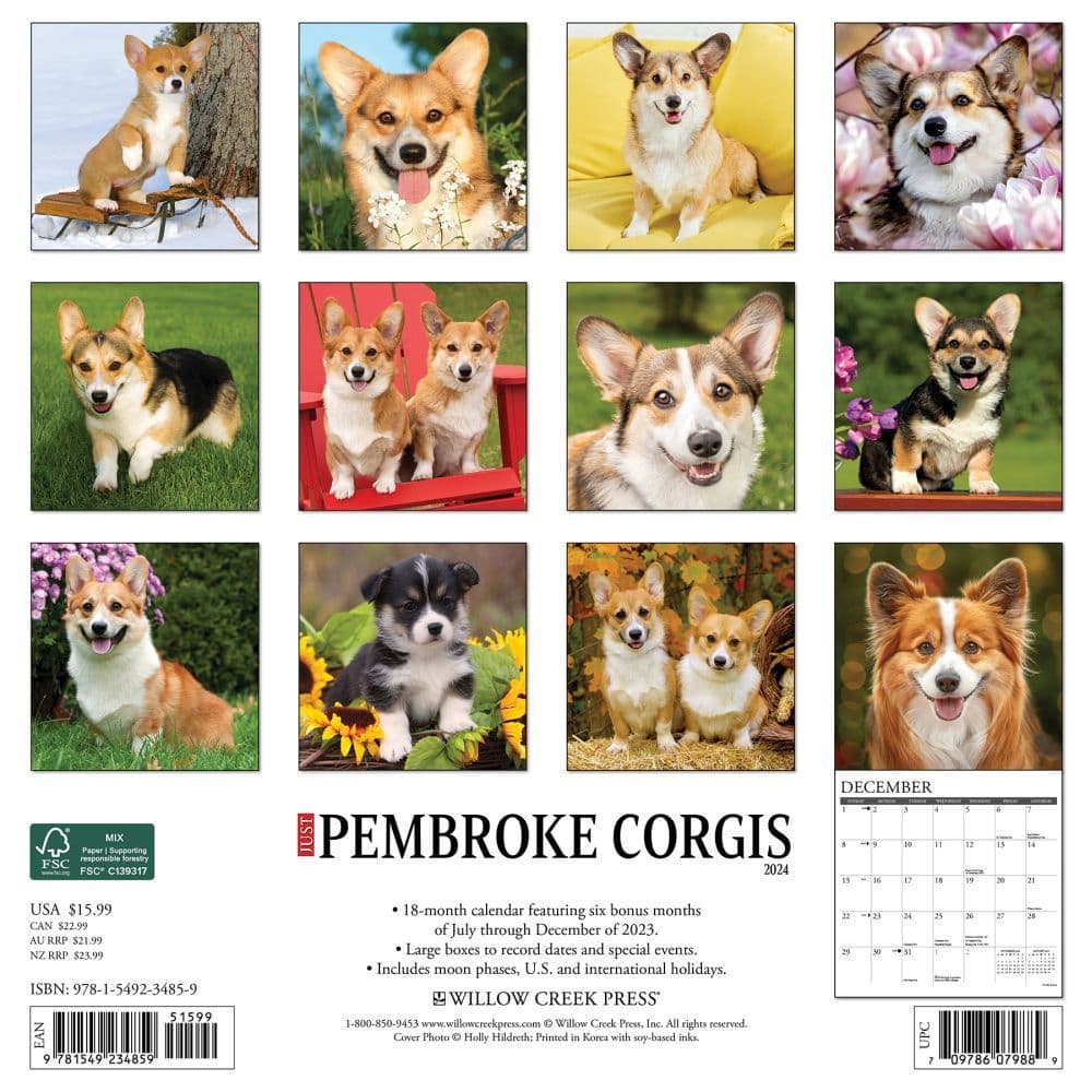 Just Corgis Pembrook 2024 Wall Calendar