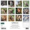 image Owls 2024 Wall Calendar Back of Calendar width=&quot;1000&quot; height=&quot;1000&quot;
