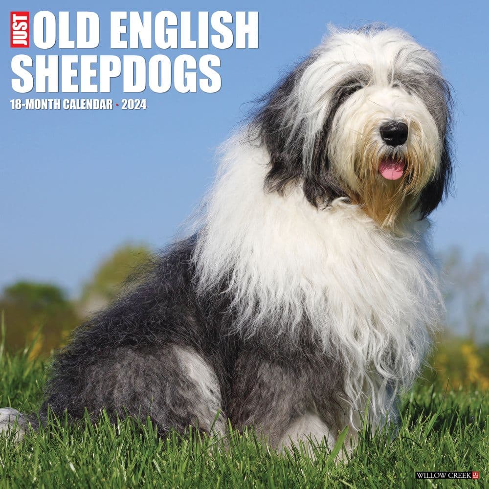 Just Old English Sheepdogs 2024 Wall Calendar Main Image width=&quot;1000&quot; height=&quot;1000&quot;