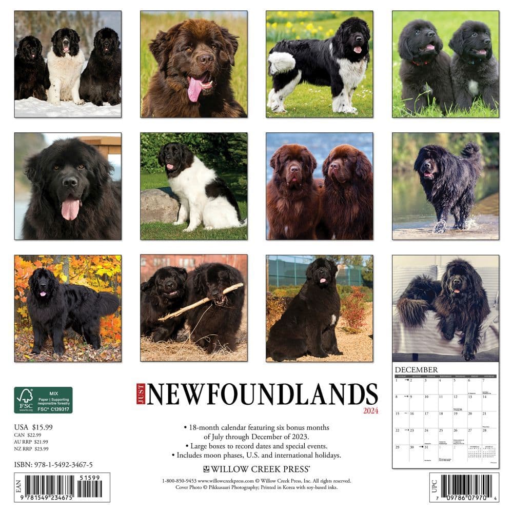 Just Newfoundlands 2024 Wall Calendar Back of Calendar width=&quot;1000&quot; height=&quot;1000&quot;
