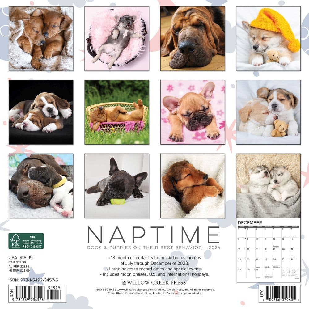 Dog Naps 2024 Wall Calendar Back of Calendar width=&quot;1000&quot; height=&quot;1000&quot;