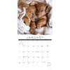 image Dog Naps 2024 Wall Calendar Interior Image width=&quot;1000&quot; height=&quot;1000&quot;