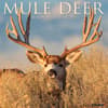 image Mule Deer 2024 Wall Calendar Main Image width=&quot;1000&quot; height=&quot;1000&quot;