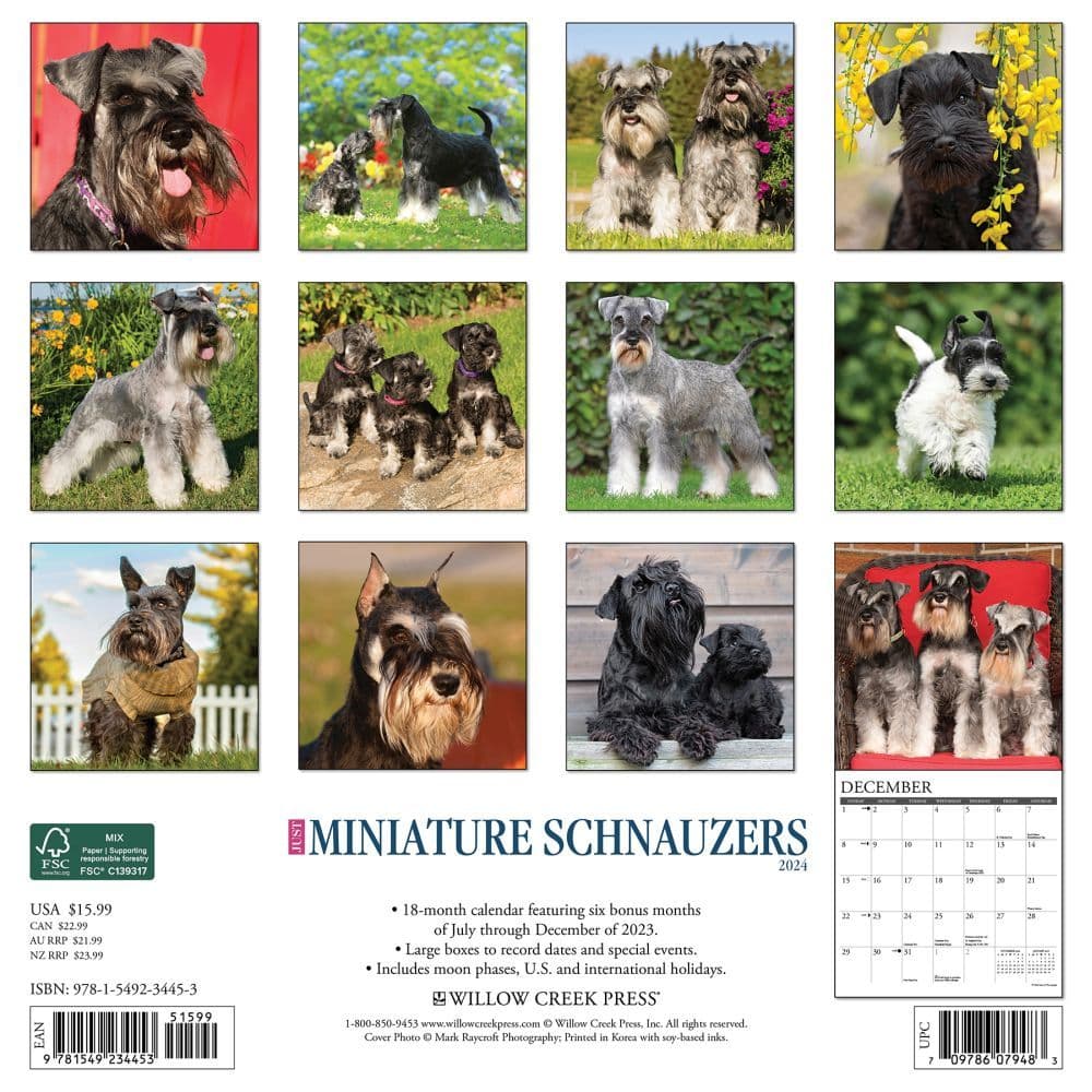 Just Miniature Schnauzers 2024 Wall Calendar