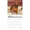 image Just Miniature Dachshunds 2024 Wall Calendar Interior Image width=&quot;1000&quot; height=&quot;1000&quot;